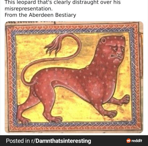 17151804914004.png
