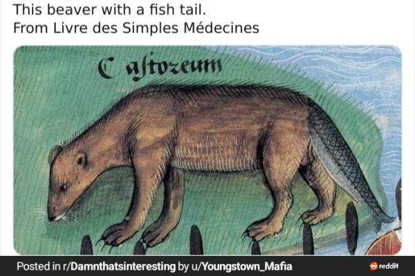 17151804935518.png