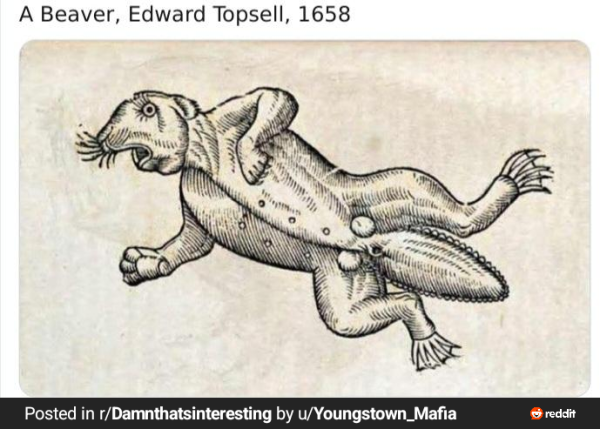 17151804940217.png
