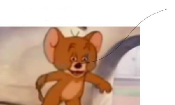 17152236563005.jpg