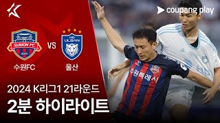 수원 FC VS 울산 HD FC 썸네일